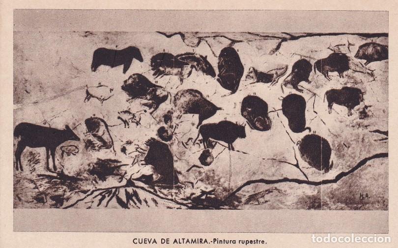 ARTE - CUEVA DE ALTAMIRA. PINTURA RUPESTRE