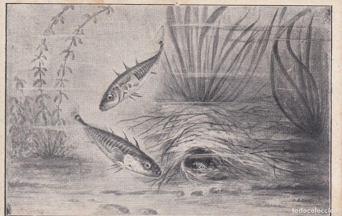 BARCELONA - PARQUE ZOOLÓGICO