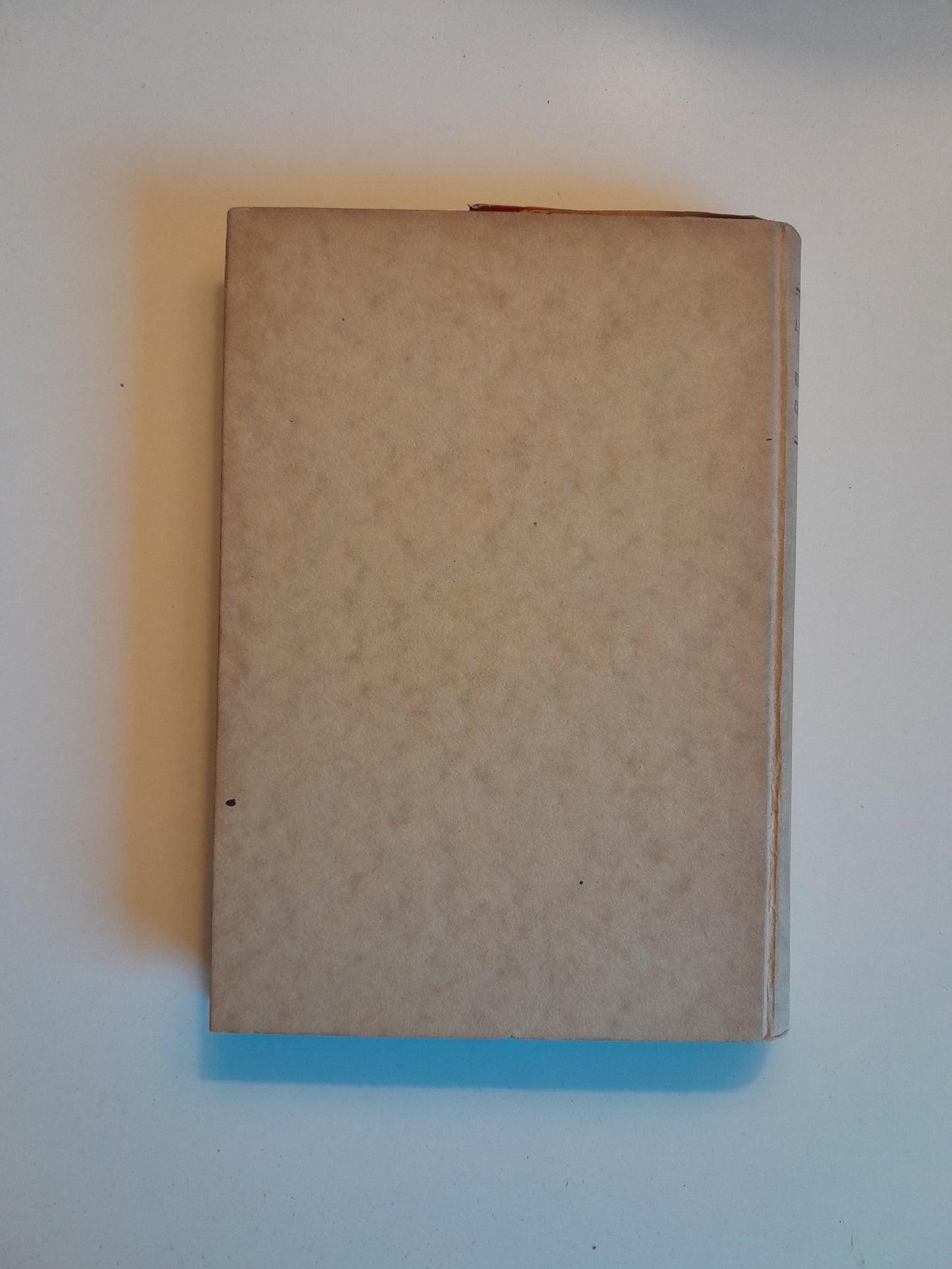 VISIONS DE CATALUNYA (CATALUNYA NOVA) - JOAN SANTAMARIA (1927)