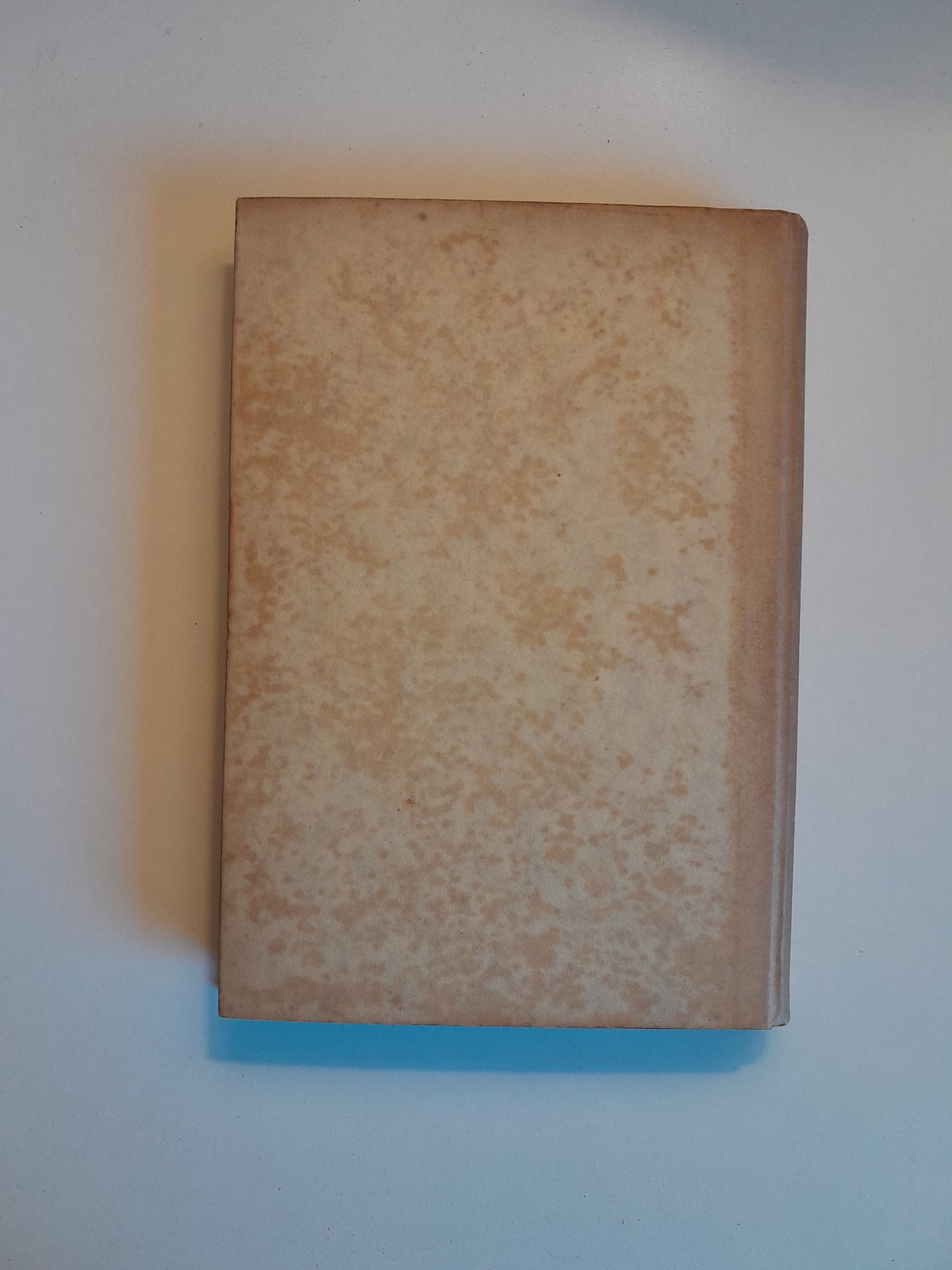 VISIONS DE CATALUNYA (CATALUNYA VELLA - LA MUNTANYA) - JOAN SANTAMARIA (1928)