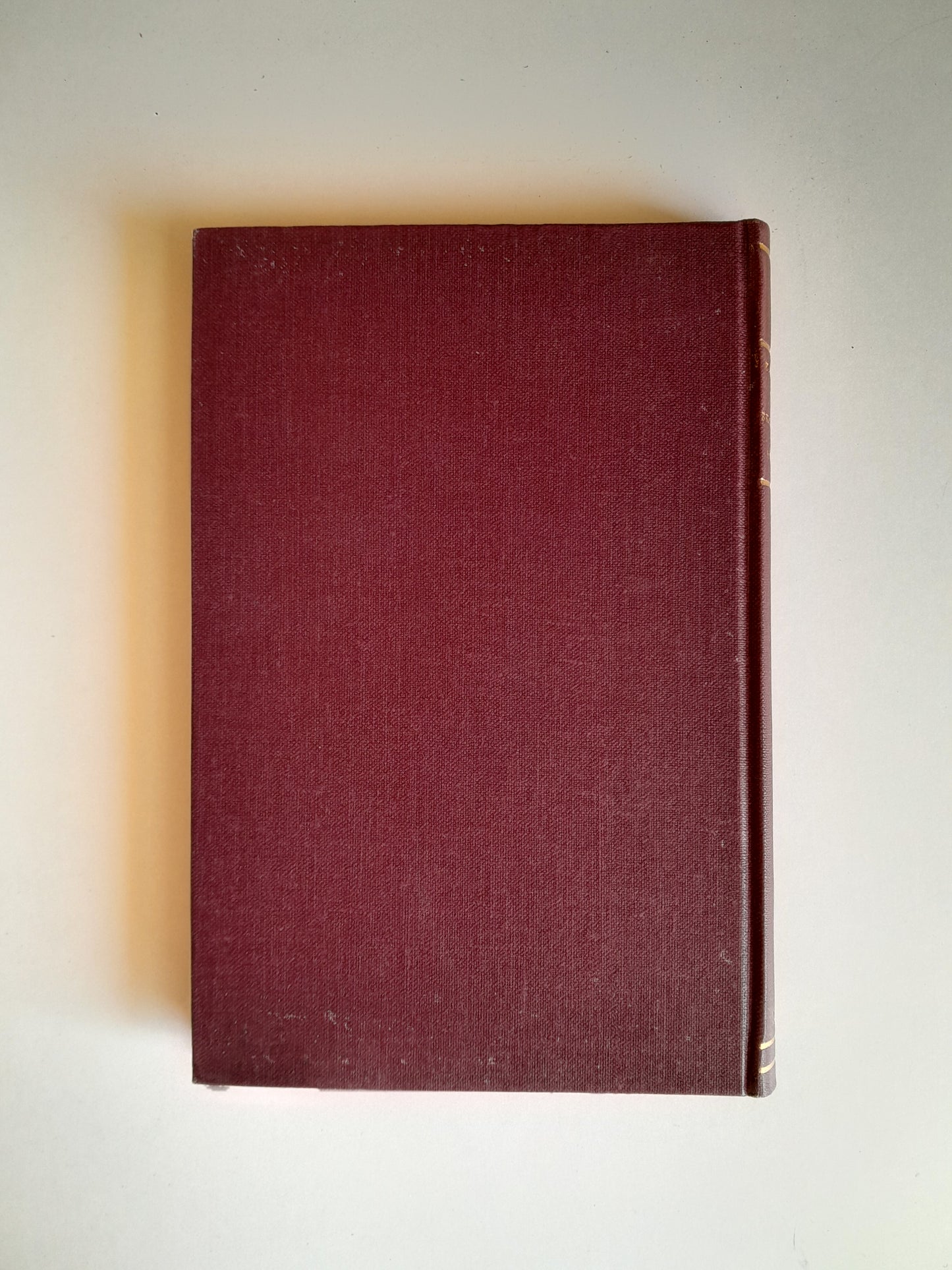 BRANQUES MORTES - EVELÍ DORIA I BONAPLATA (LA CATALANA, 1902)