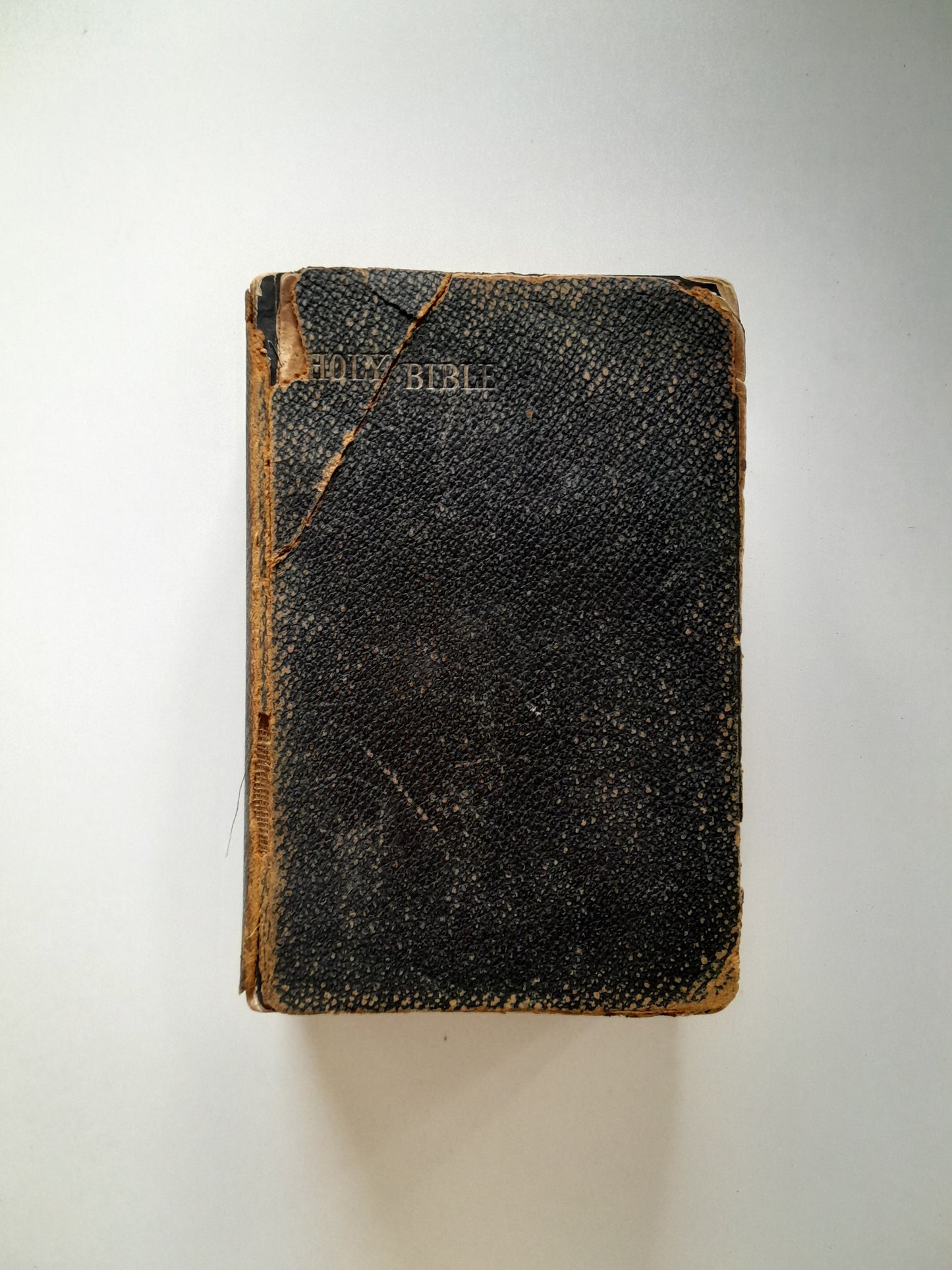 THE HOLY BIBLE (HENRY FROWDE, c.1880)