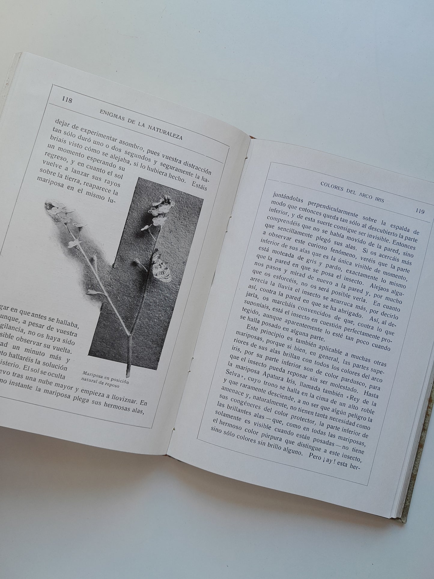 ENIGMAS DE LA NATURALEZA O LAS LUCHAS DE LOS ANIMALES - H. W. SHEPHEARD-WALWYNG (RAMÓN DE S. N. ARALUCE, c.1920)