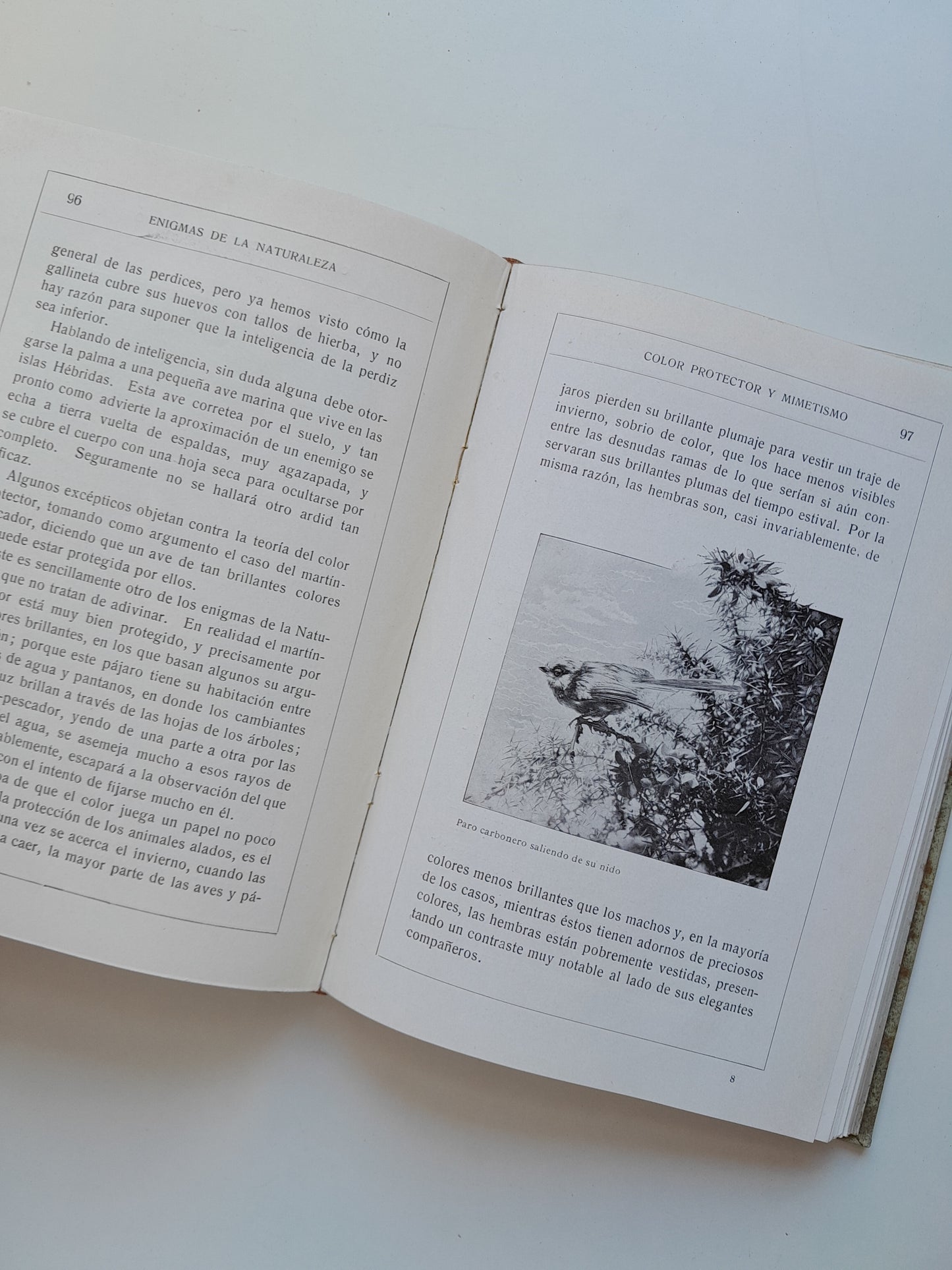ENIGMAS DE LA NATURALEZA O LAS LUCHAS DE LOS ANIMALES - H. W. SHEPHEARD-WALWYNG (RAMÓN DE S. N. ARALUCE, c.1920)