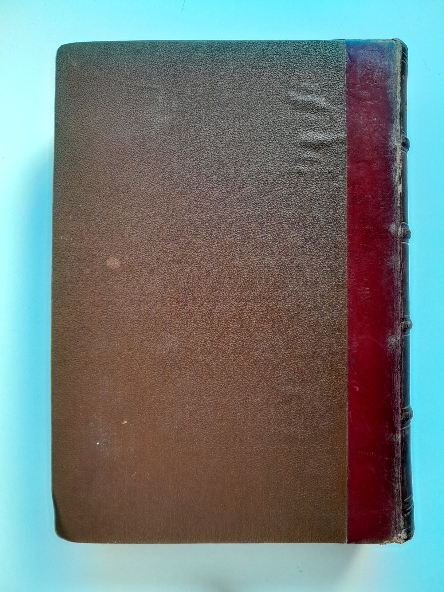 EL REINO DEL AMOR - RAFAEL DEL CASTILLO (M. SOLÁ-SAGALÉS, c.1890)