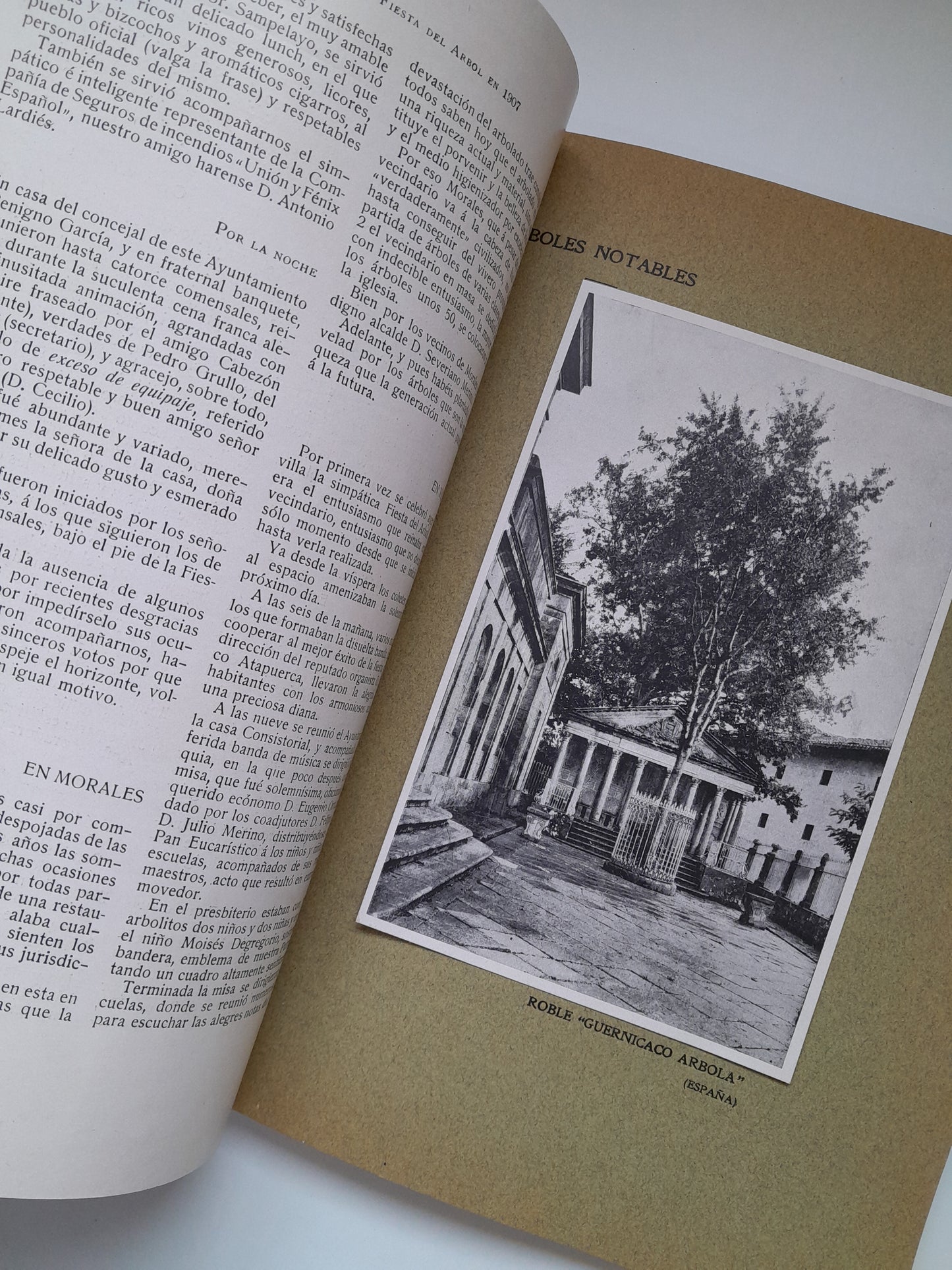 CRÓNICA DE LA FIESTA DEL ÁRBOL EN ESPAÑA (1907)