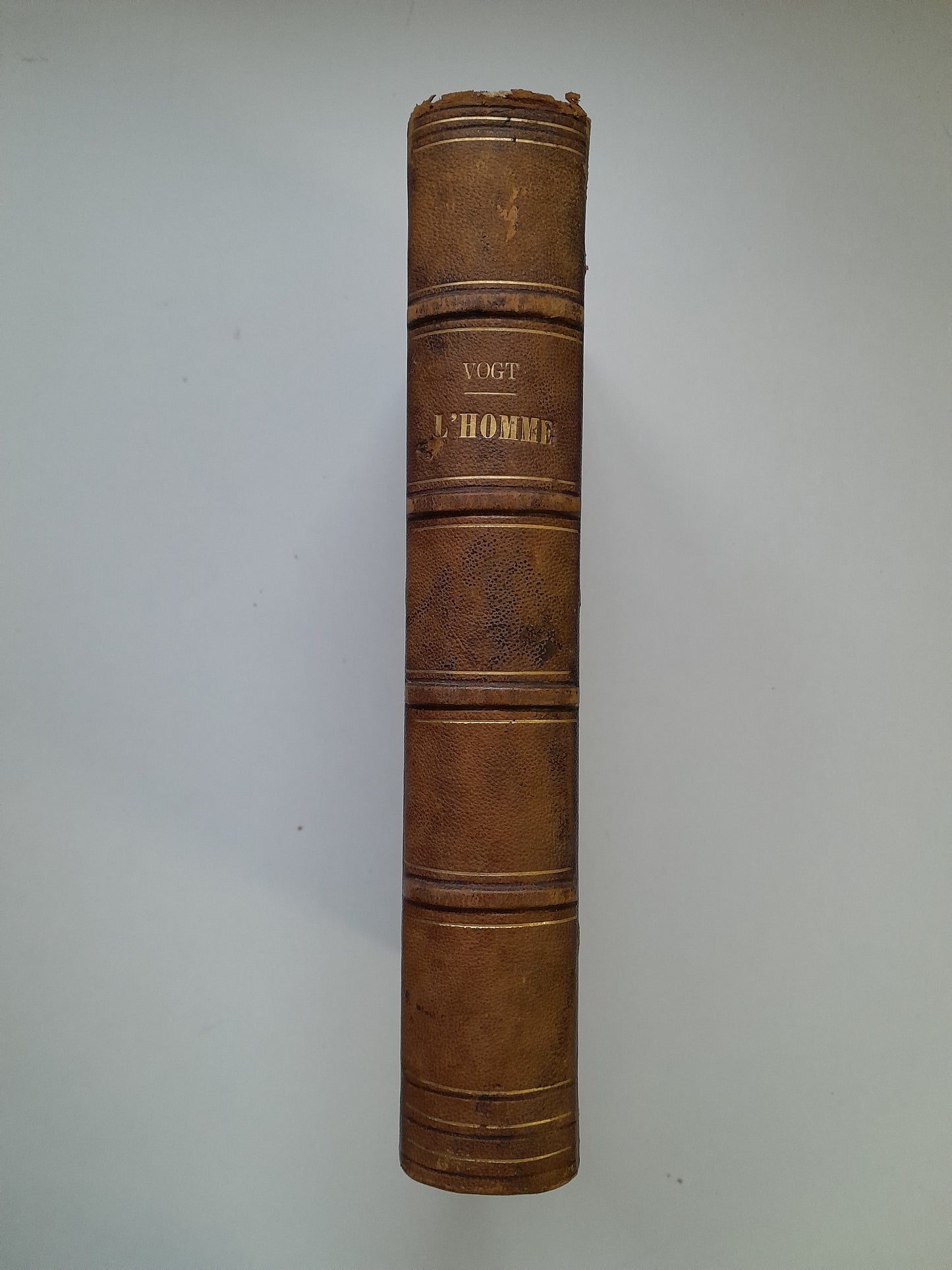 LEÇONS SUR L'HOMME - CARL VOGT (LIB. C. REINWALD, 1865)