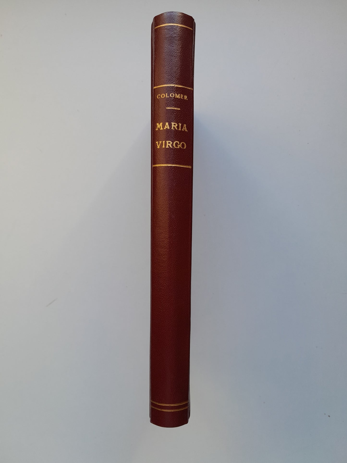 MARIA VIRGO SEU DE VITA BEATAE MARIAE VIRIGNIS - PETRO COLOMER MESTRES (JOANNIS SOLER, 1881)