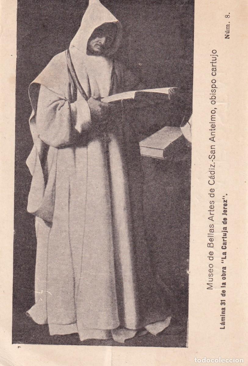 CÁDIZ - MUSEO DE BELLAS ARTES. SAN ANTELMO