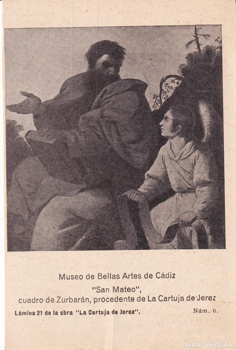 CÁDIZ - MUSEO DE BELLAS ARTES. SAN MATEO