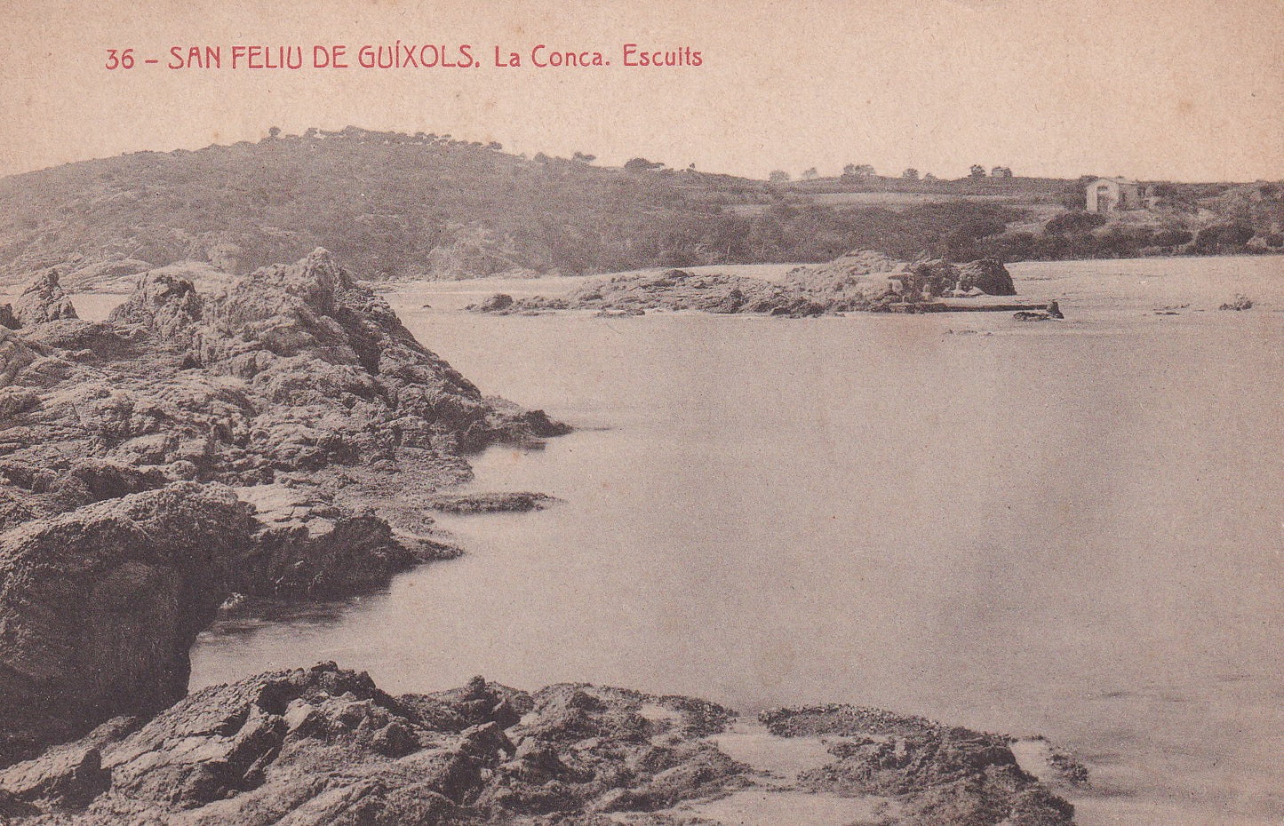 S'AGARÓ - 36. LA CONCA. ESCUITS