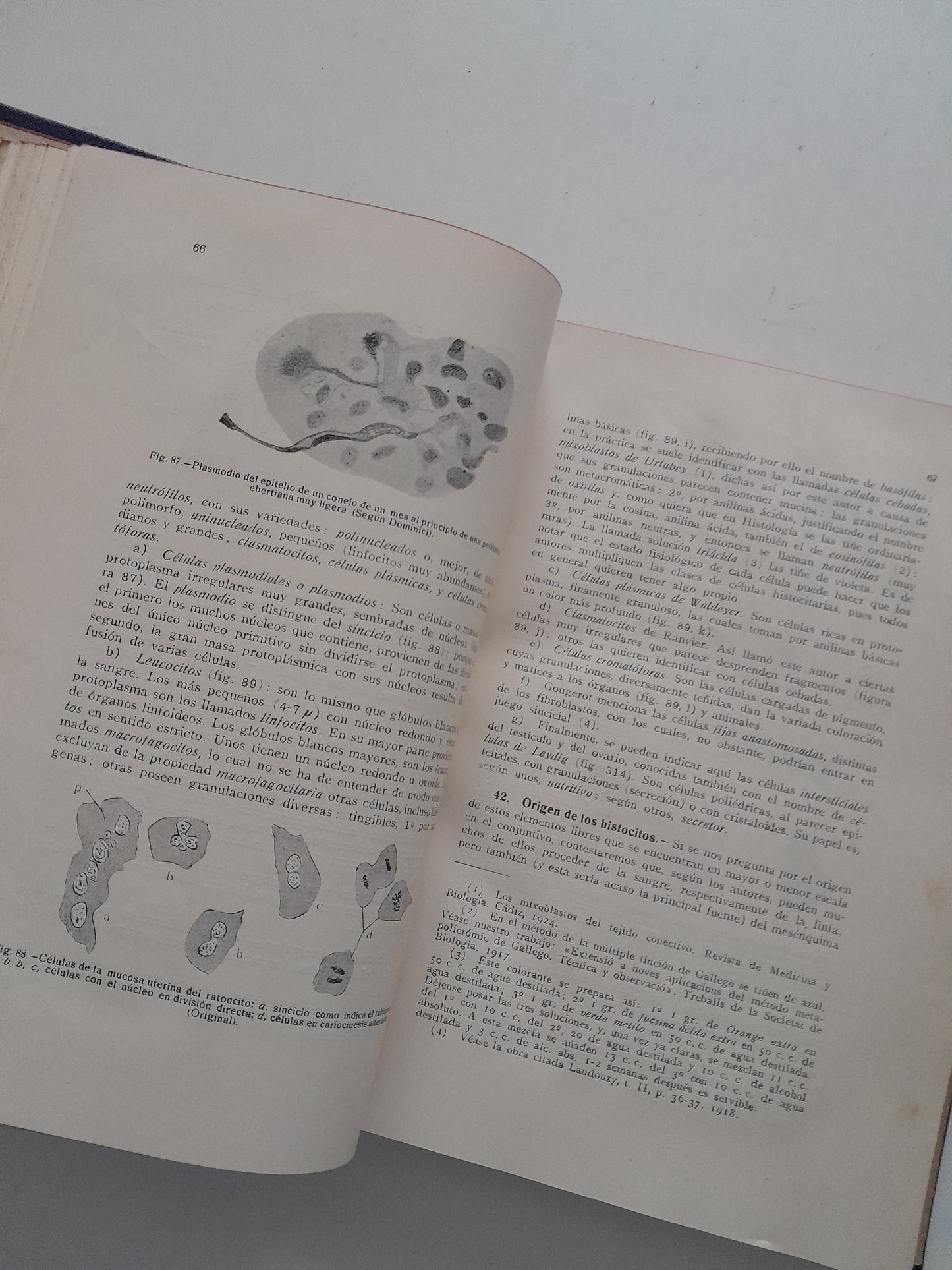 HISTOLOGÍA FISIOLÓGICA Y ANATOMÍA MICROSCÓPICA HUMANA Y ANIMAL - JAIME PUJIULA (LIB. CASALS, 1934)