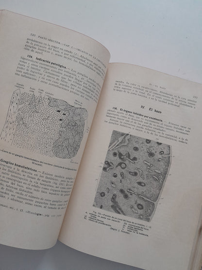 HISTOLOGÍA FISIOLÓGICA Y ANATOMÍA MICROSCÓPICA HUMANA Y ANIMAL - JAIME PUJIULA (LIB. CASALS, 1934)