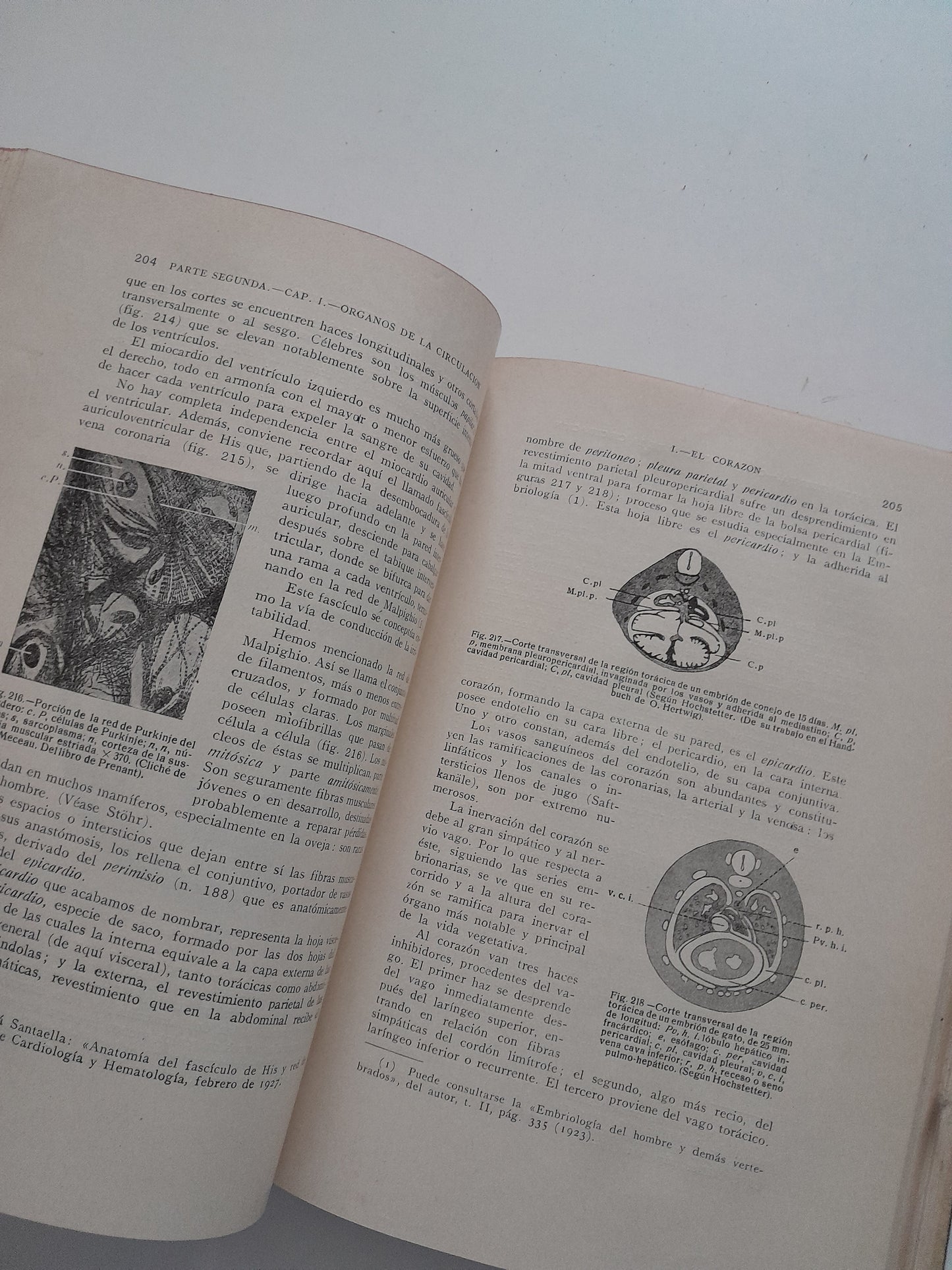 HISTOLOGÍA FISIOLÓGICA Y ANATOMÍA MICROSCÓPICA HUMANA Y ANIMAL - JAIME PUJIULA (LIB. CASALS, 1934)