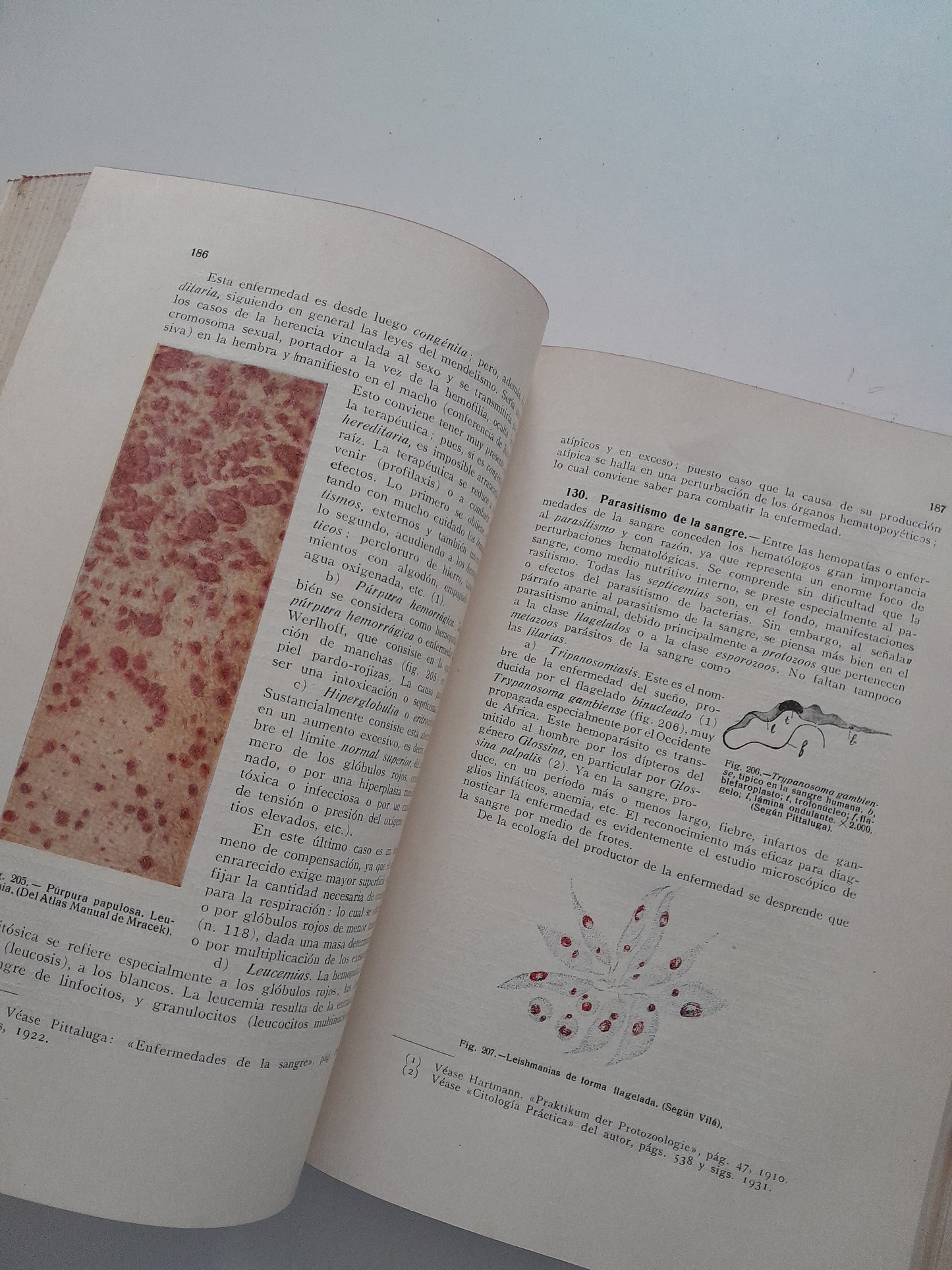 HISTOLOGÍA FISIOLÓGICA Y ANATOMÍA MICROSCÓPICA HUMANA Y ANIMAL - JAIME PUJIULA (LIB. CASALS, 1934)