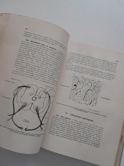 HISTOLOGÍA FISIOLÓGICA Y ANATOMÍA MICROSCÓPICA HUMANA Y ANIMAL - JAIME PUJIULA (LIB. CASALS, 1934)