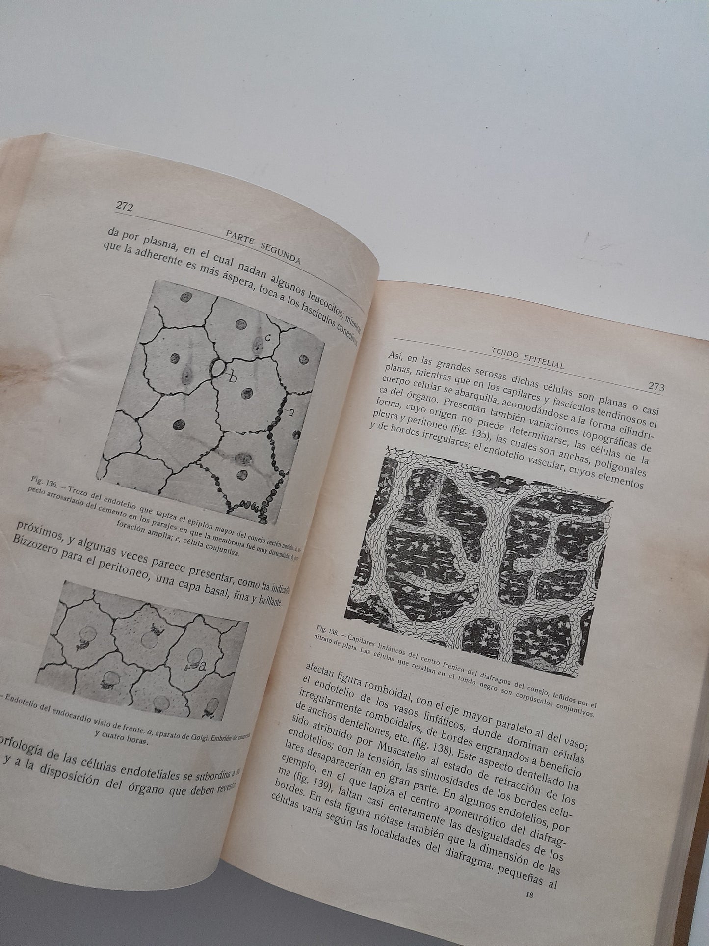 ELEMENTOS DE HISTOLOGÍA NORMAL Y DE TÉCNICA MICROGRÁFICA - SANTIAGO RAMÓN Y CAJAL (TIP.ARTÍSTICA 1926)