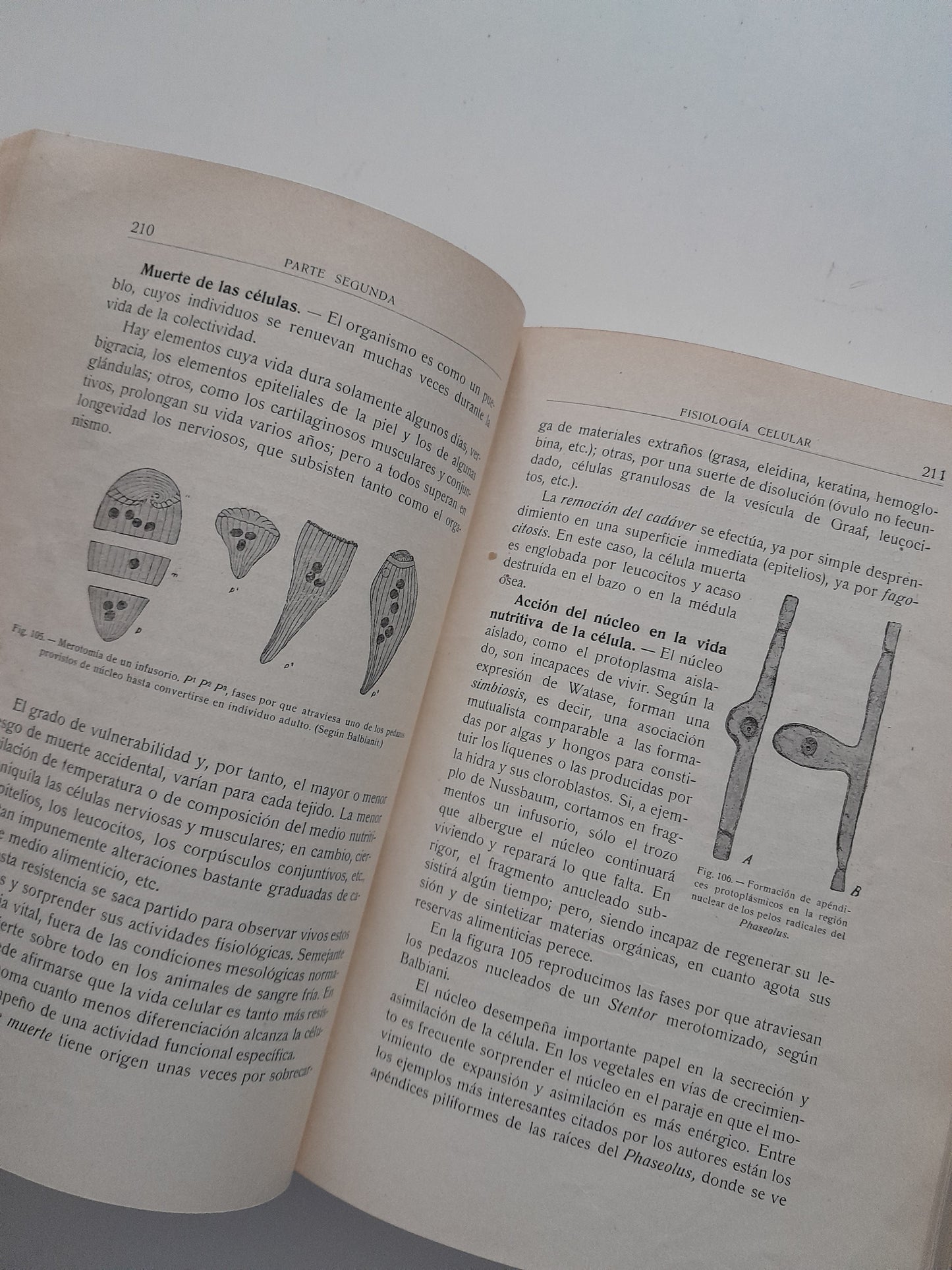 ELEMENTOS DE HISTOLOGÍA NORMAL Y DE TÉCNICA MICROGRÁFICA - SANTIAGO RAMÓN Y CAJAL (TIP.ARTÍSTICA 1926)