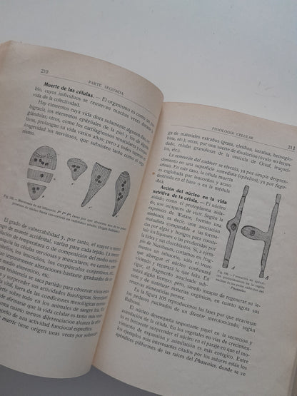 ELEMENTOS DE HISTOLOGÍA NORMAL Y DE TÉCNICA MICROGRÁFICA - SANTIAGO RAMÓN Y CAJAL (TIP.ARTÍSTICA 1926)