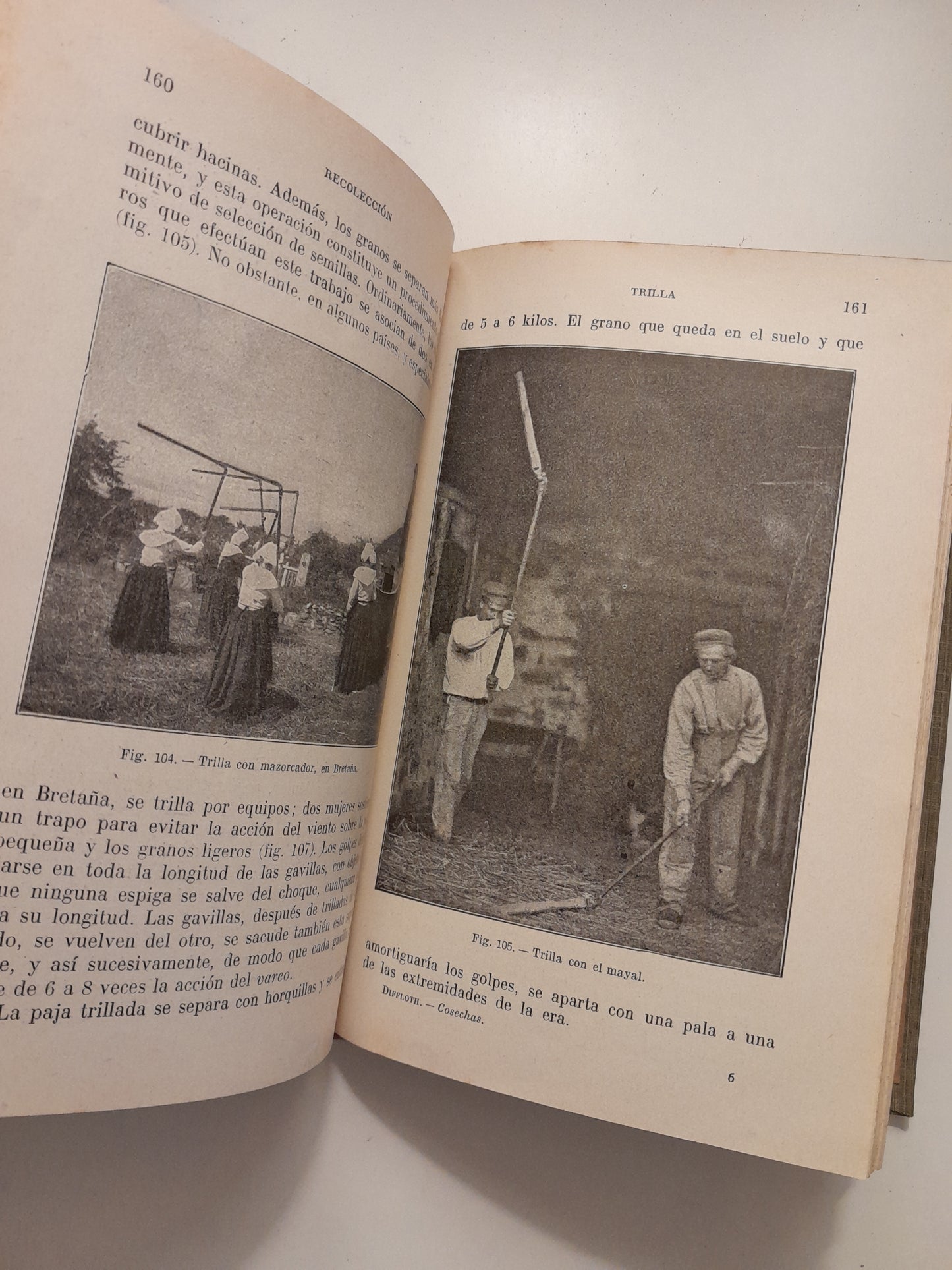 AGRICULTURA GENERAL IV: COSECHAS Y CONSERVACIÓN DE LOS PRODUCTOS AGRÍCOLAS - PABLO DIFFLOTH (SALVAT, 1928)