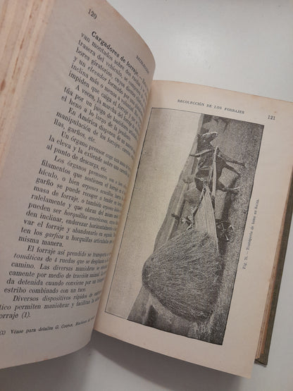 AGRICULTURA GENERAL IV: COSECHAS Y CONSERVACIÓN DE LOS PRODUCTOS AGRÍCOLAS - PABLO DIFFLOTH (SALVAT, 1928)