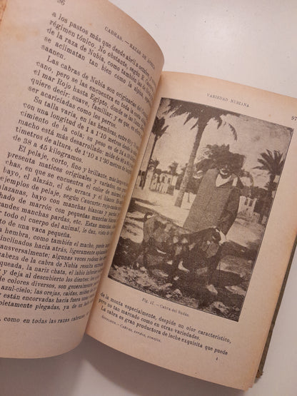 ZOOTECNIA: CABRAS, CERDOS Y CONEJOS - PABLO DIFFLOTH (SALVAT - ENCICLOPEDIA AGRÍCOLA, c.1924)