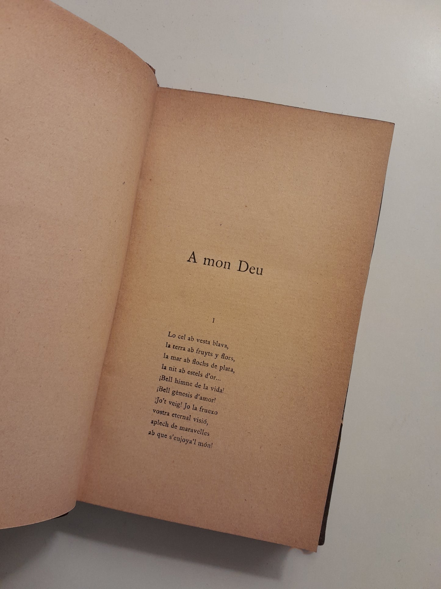 POESIES - DOLORS MONSERDÀ (ILUSTRACIÓ CATALANA, 1911)