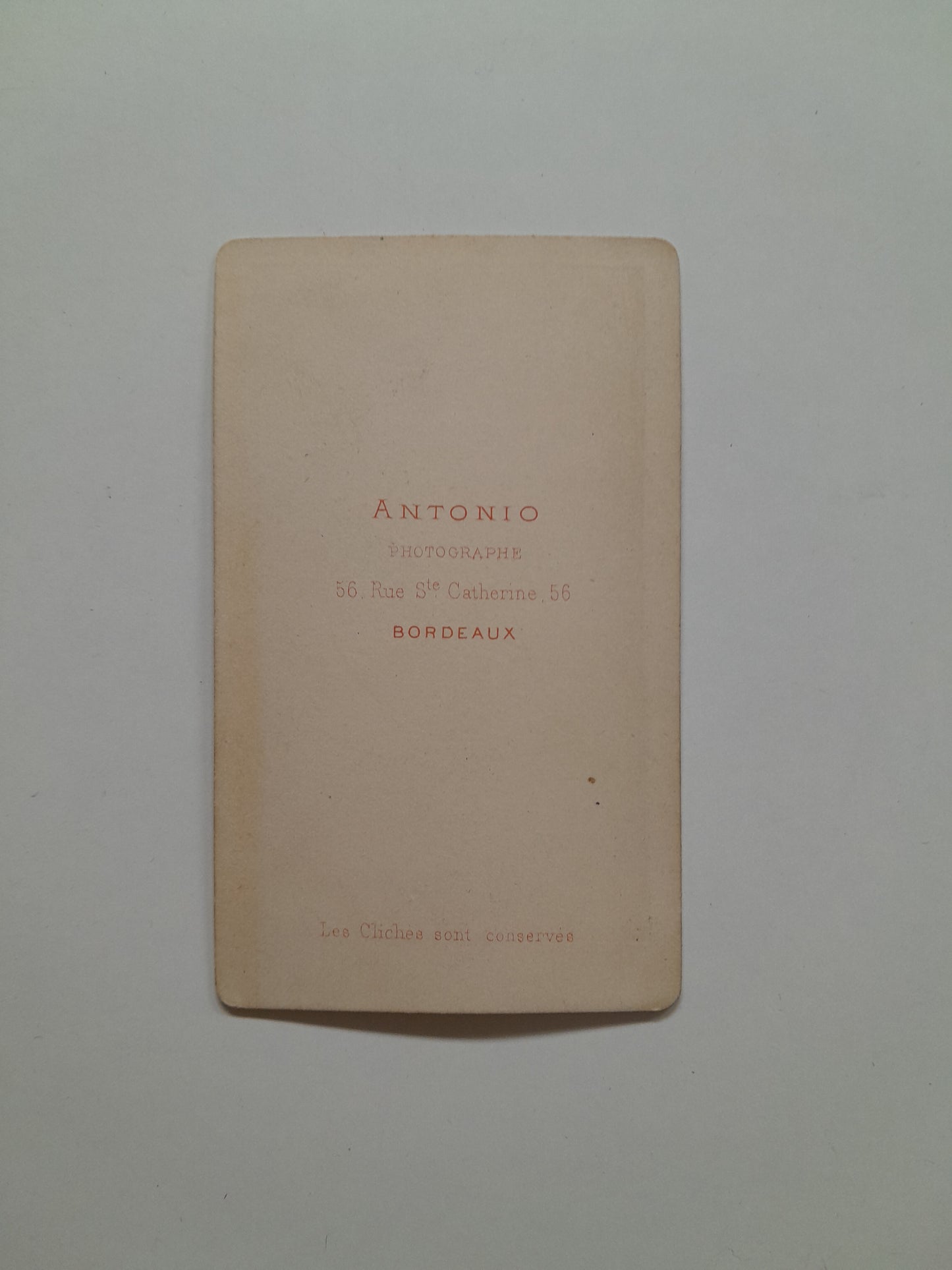 RETRATO DE MUJER (c.1880) - ANTONIO, BORDEAUX