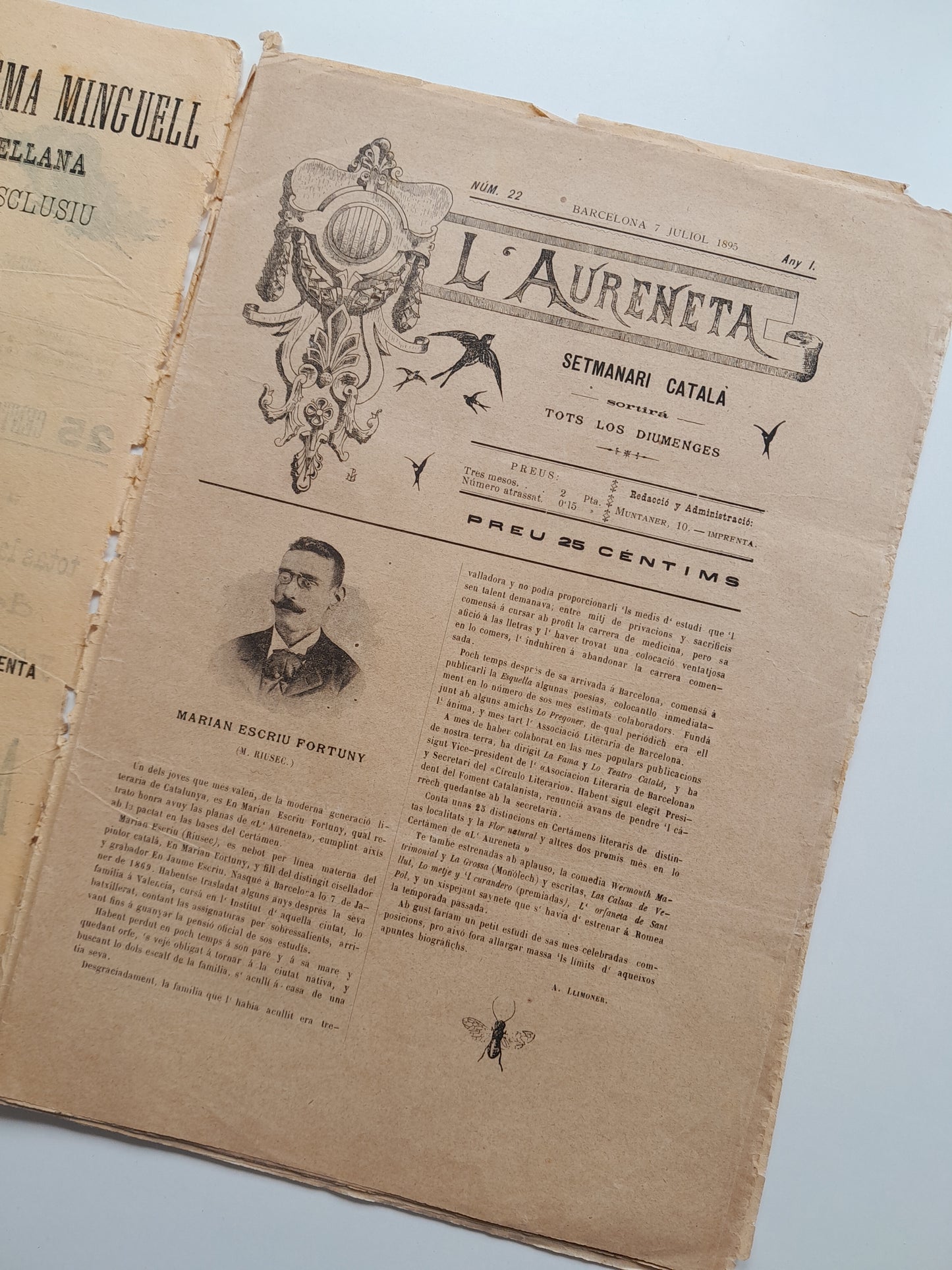 L'AURENETA. SETMANARI CATALÀ ILUSTRAT (BARCELONA) - ANY 1, NÚM. 22 (7 JULIOL 1895)