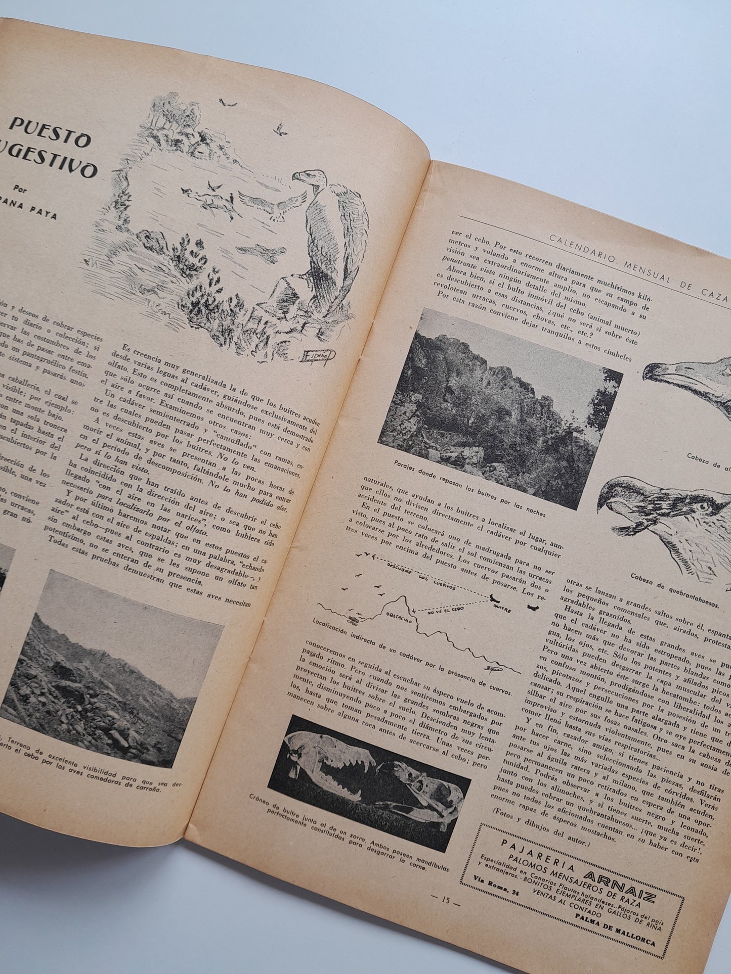 CALENDARIO MENSUAL ILUSTRADO DE CAZA Y PESCA, ARMAS Y GUARDERÍA (MADRID) - NÚM. 57 (SETEMBRE 1947)