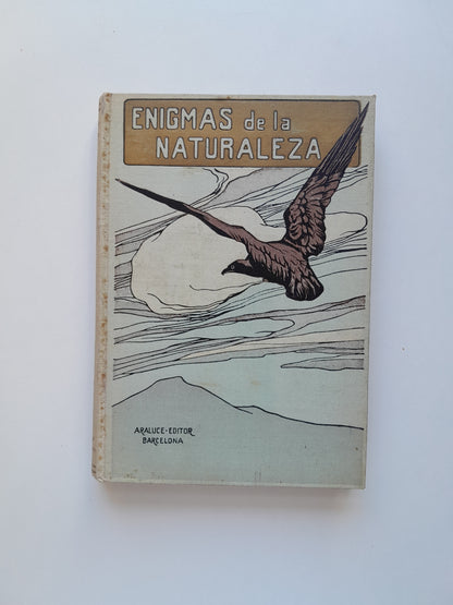 ENIGMAS DE LA NATURALEZA O LAS LUCHAS DE LOS ANIMALES - H. W. SHEPHEARD-WALWYNG (RAMÓN DE S. N. ARALUCE, c.1920)
