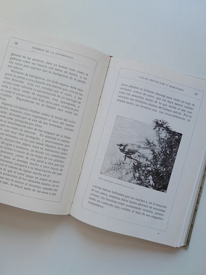 ENIGMAS DE LA NATURALEZA O LAS LUCHAS DE LOS ANIMALES - H. W. SHEPHEARD-WALWYNG (RAMÓN DE S. N. ARALUCE, c.1920)