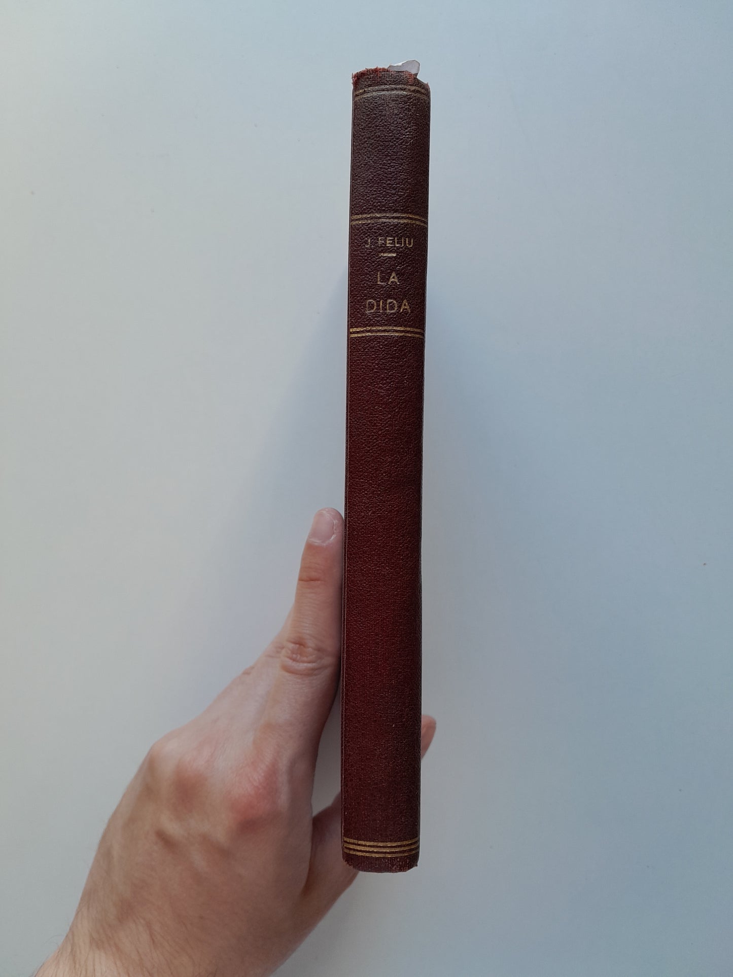 LA DIDA - JOSEP FELIU CODINA (BIB. CATALANA IL·LUSTRADA, c.1880)