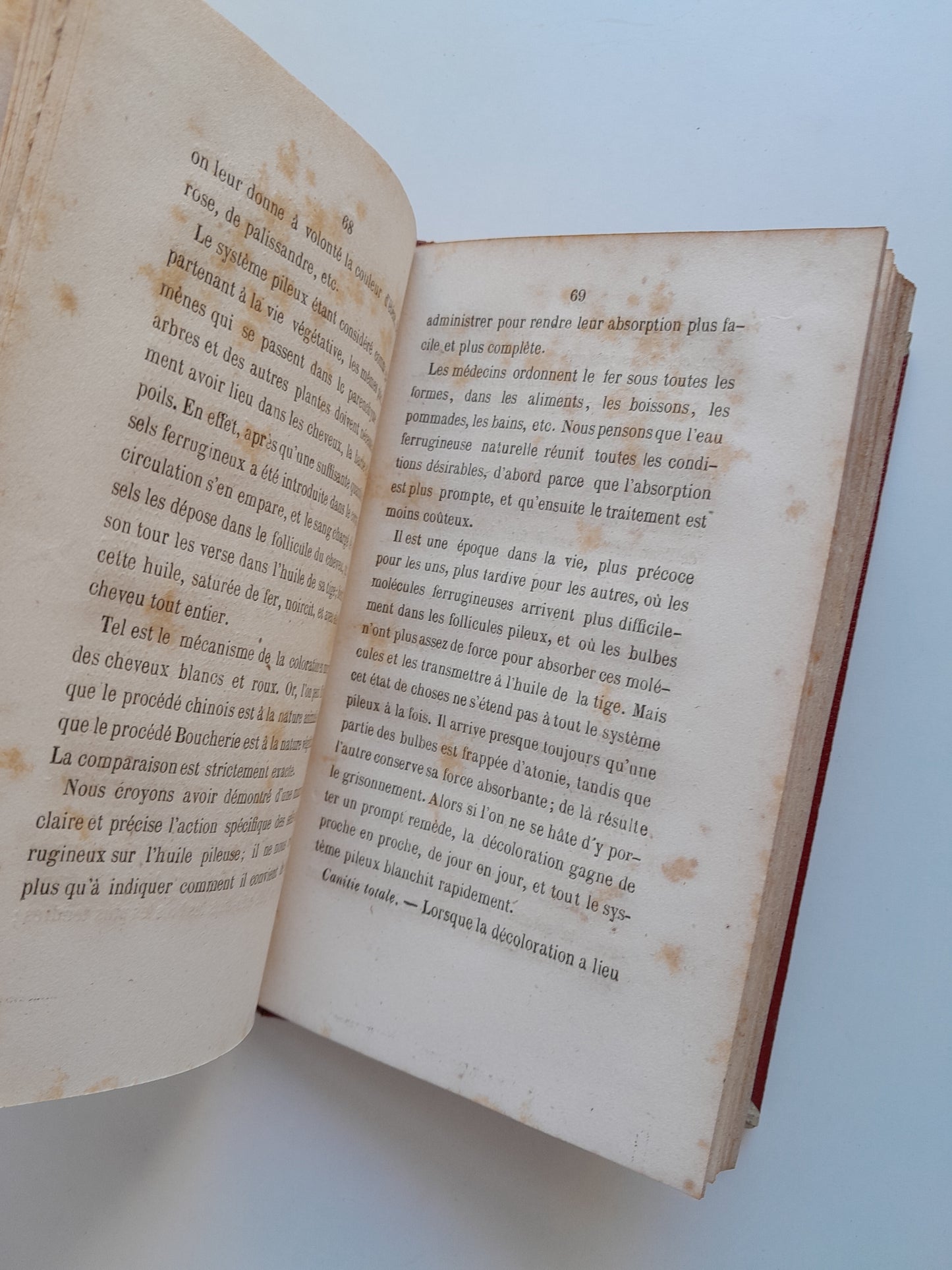 HIGIENE COMPLETA DEL CABELLO Y DE LA BARBA - A. DEBAY (LIB. MOQUET, 1850)