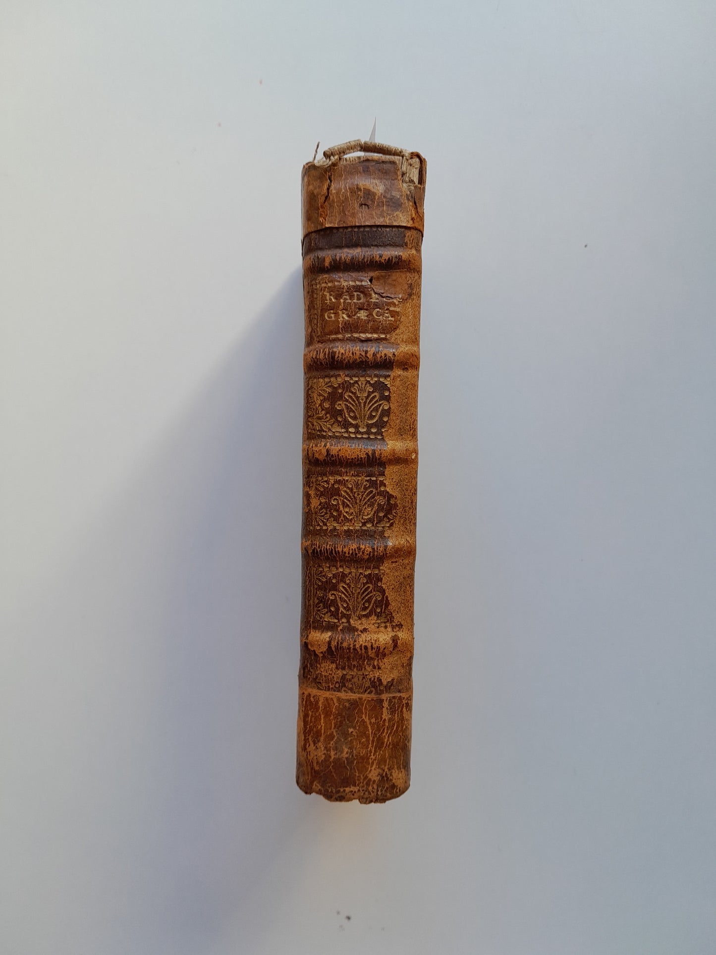 TIROCINIUM LINGUAE GRAECAE, PRIMOGENIAS VOCES - PHILIPPO LABBE (VDA. SIMONIS BENARD, 1701)