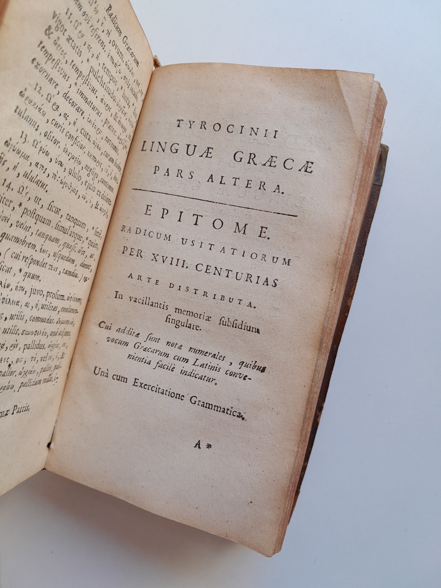 TIROCINIUM LINGUAE GRAECAE, PRIMOGENIAS VOCES - PHILIPPO LABBE (VDA. SIMONIS BENARD, 1701)