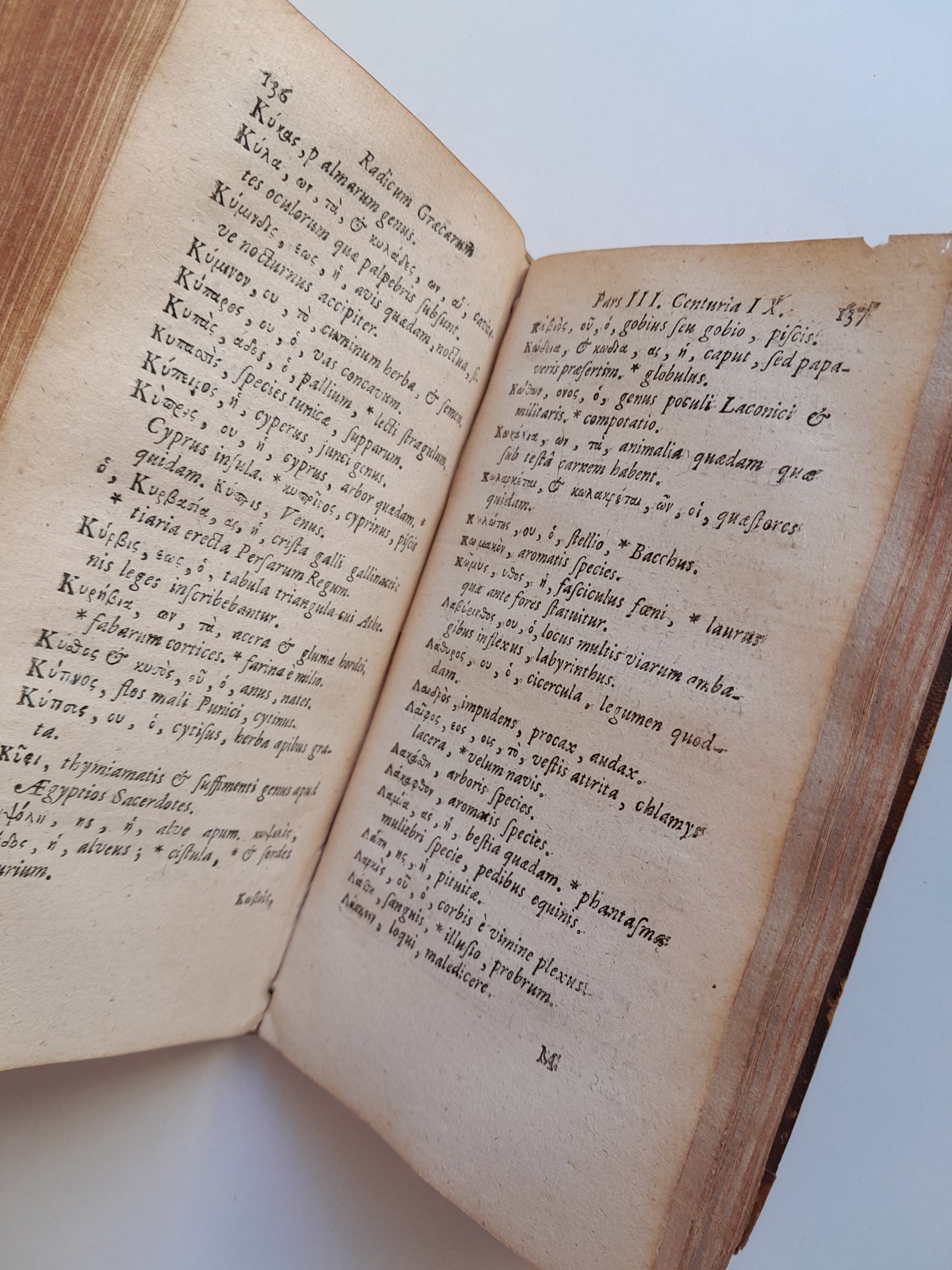 TIROCINIUM LINGUAE GRAECAE, PRIMOGENIAS VOCES - PHILIPPO LABBE (VDA. SIMONIS BENARD, 1701)