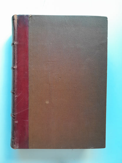EL REINO DEL AMOR - RAFAEL DEL CASTILLO (M. SOLÁ-SAGALÉS, c.1890)