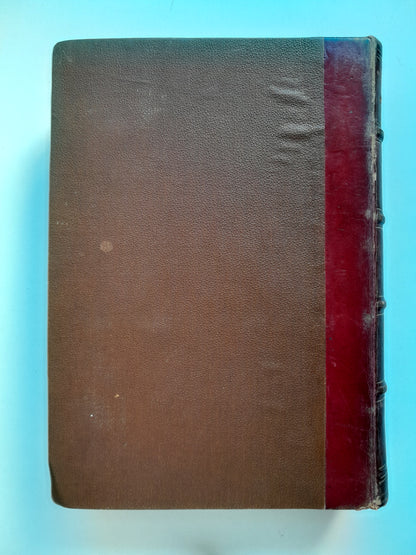 EL REINO DEL AMOR - RAFAEL DEL CASTILLO (M. SOLÁ-SAGALÉS, c.1890)