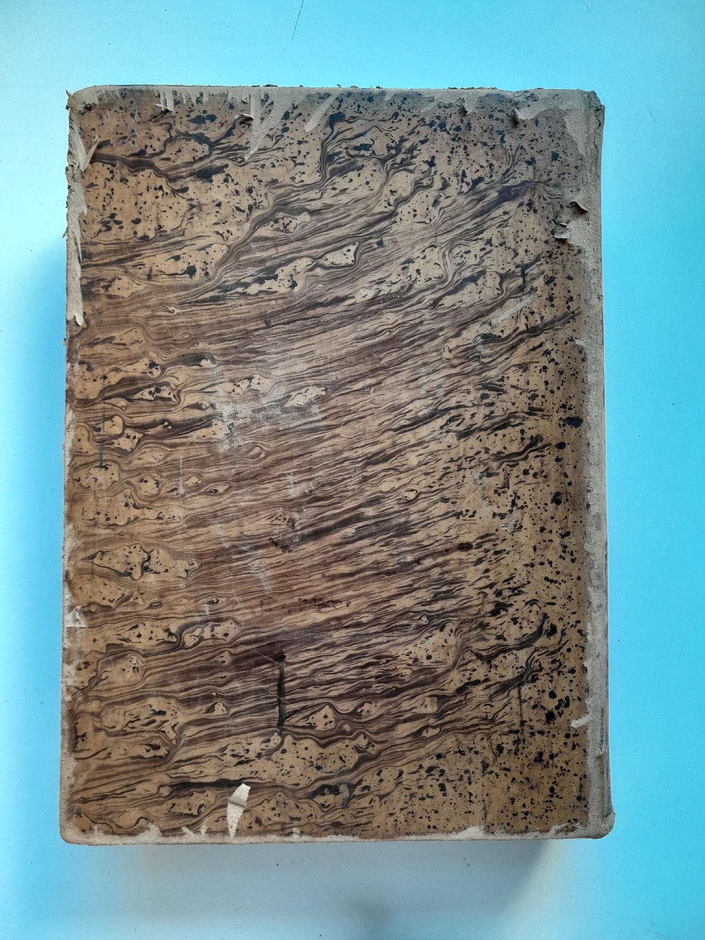 DICCIONARIO ENCICLOPÉDICO DE LA LENGUA ESPAÑOLA (2 TOMOS) - NEMESIO FERNÁNDEZ CUESTA (IMP. GASPAR Y ROIG, 1872)