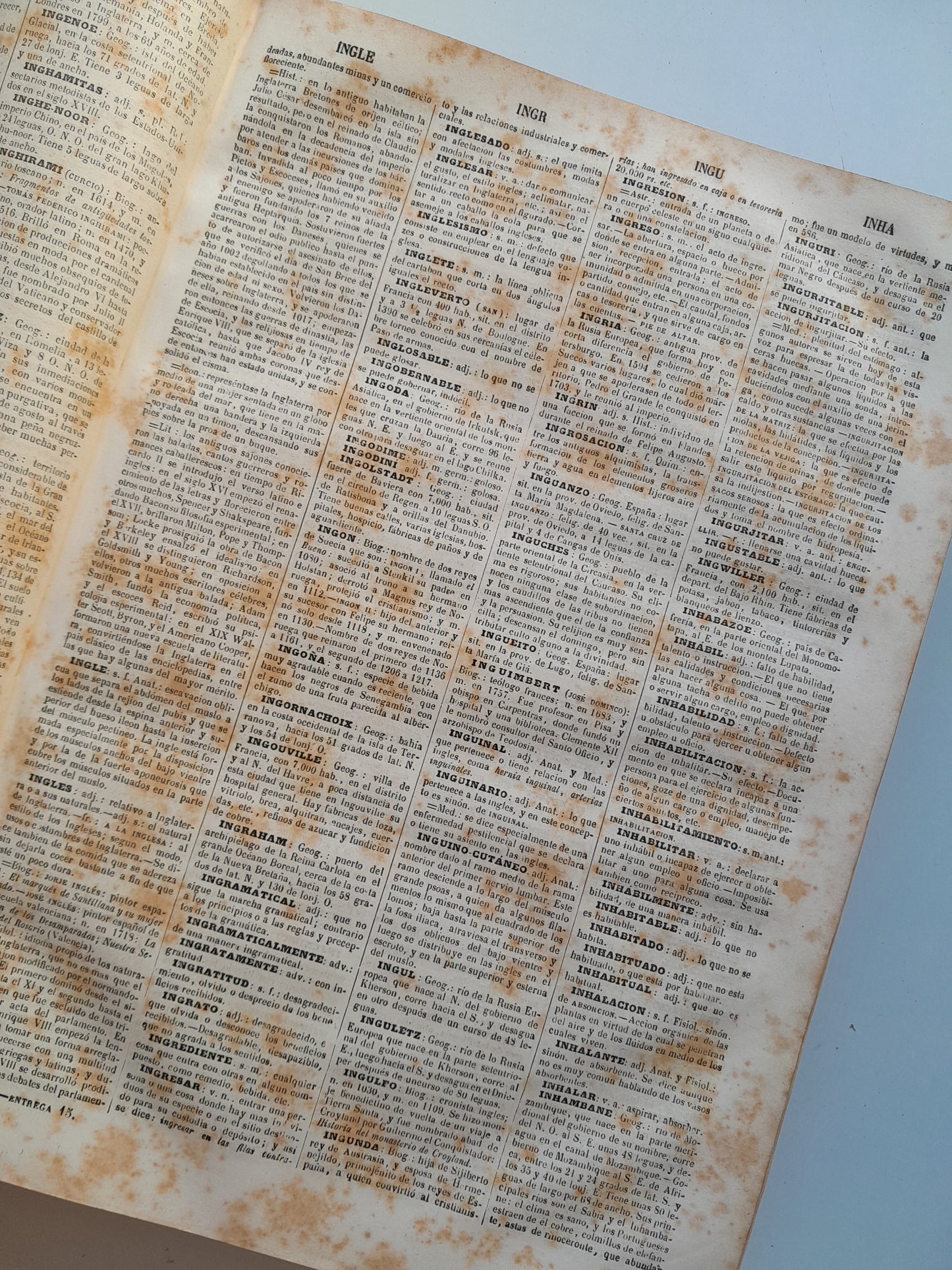 DICCIONARIO ENCICLOPÉDICO DE LA LENGUA ESPAÑOLA (2 TOMOS) - NEMESIO FERNÁNDEZ CUESTA (IMP. GASPAR Y ROIG, 1872)