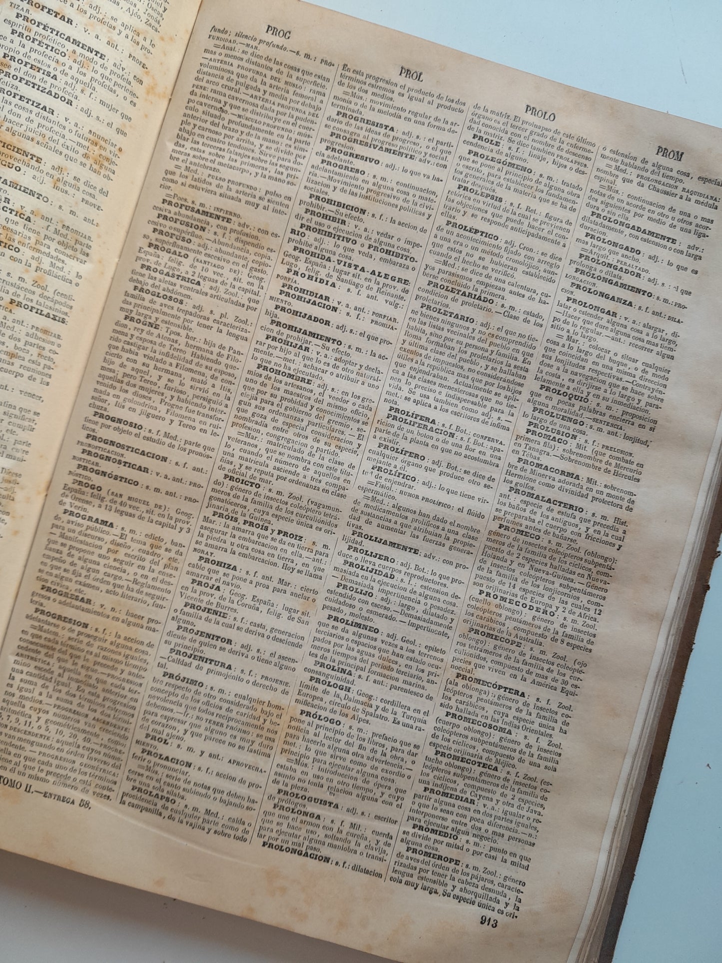 DICCIONARIO ENCICLOPÉDICO DE LA LENGUA ESPAÑOLA (2 TOMOS) - NEMESIO FERNÁNDEZ CUESTA (IMP. GASPAR Y ROIG, 1872)