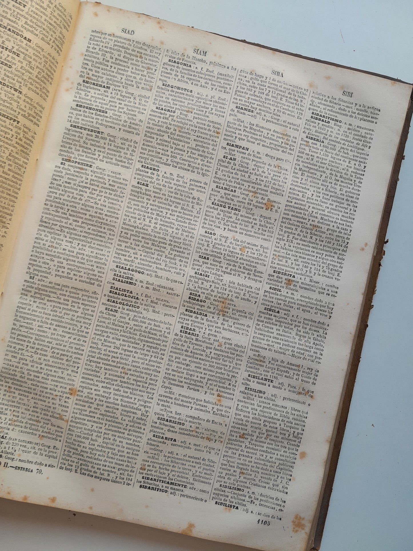 DICCIONARIO ENCICLOPÉDICO DE LA LENGUA ESPAÑOLA (2 TOMOS) - NEMESIO FERNÁNDEZ CUESTA (IMP. GASPAR Y ROIG, 1872)
