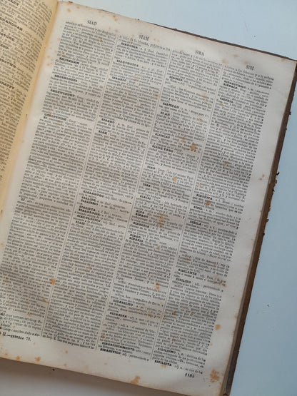 DICCIONARIO ENCICLOPÉDICO DE LA LENGUA ESPAÑOLA (2 TOMOS) - NEMESIO FERNÁNDEZ CUESTA (IMP. GASPAR Y ROIG, 1872)