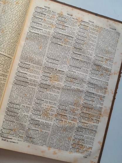 DICCIONARIO ENCICLOPÉDICO DE LA LENGUA ESPAÑOLA (2 TOMOS) - NEMESIO FERNÁNDEZ CUESTA (IMP. GASPAR Y ROIG, 1872)