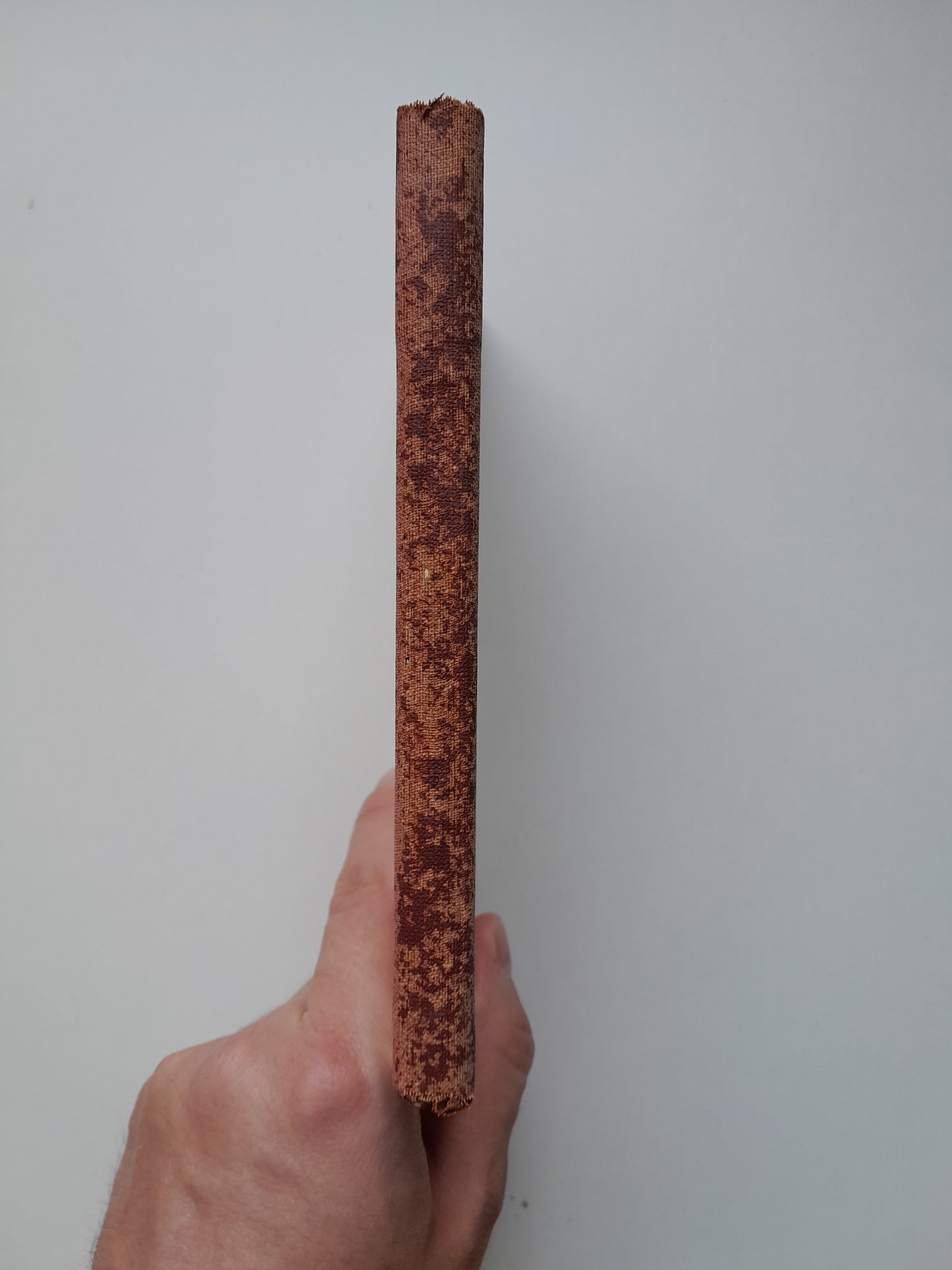 FRUITS PRIMERENCS. VIDES DE SANTS EN LA INFANTESA JOVENTUT - JOSEP ARDERIU I TIÓ (FOMENT DE PIETAT, 1934)