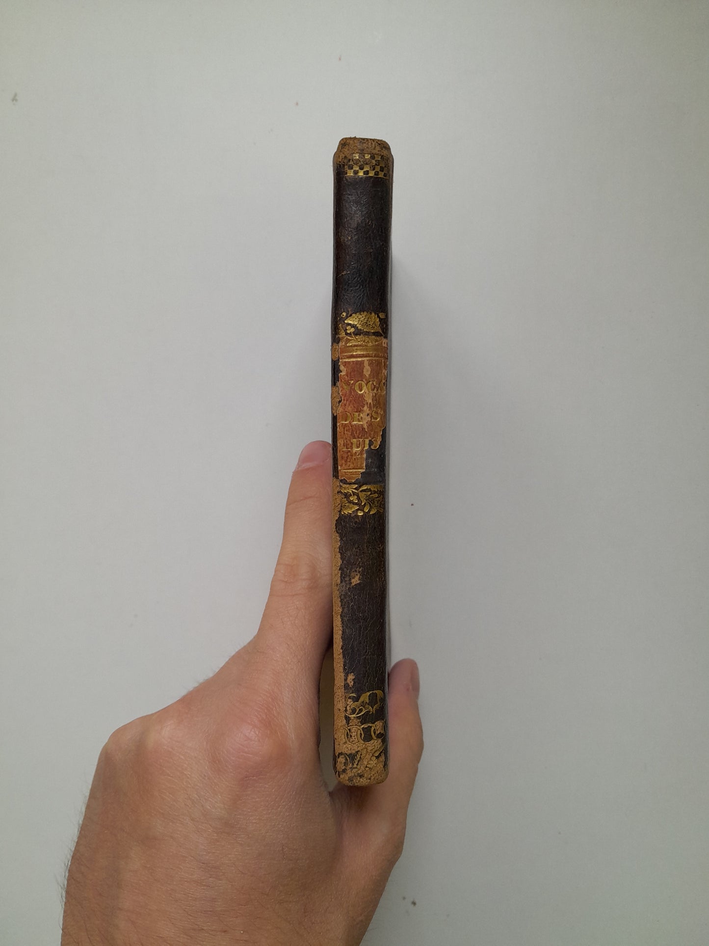 VOCACIÓN DE SAN LUIS DE GONZAGA A LA COMPAÑÍA DE JESÚS (VALENTÍN TORRAS, 1841)