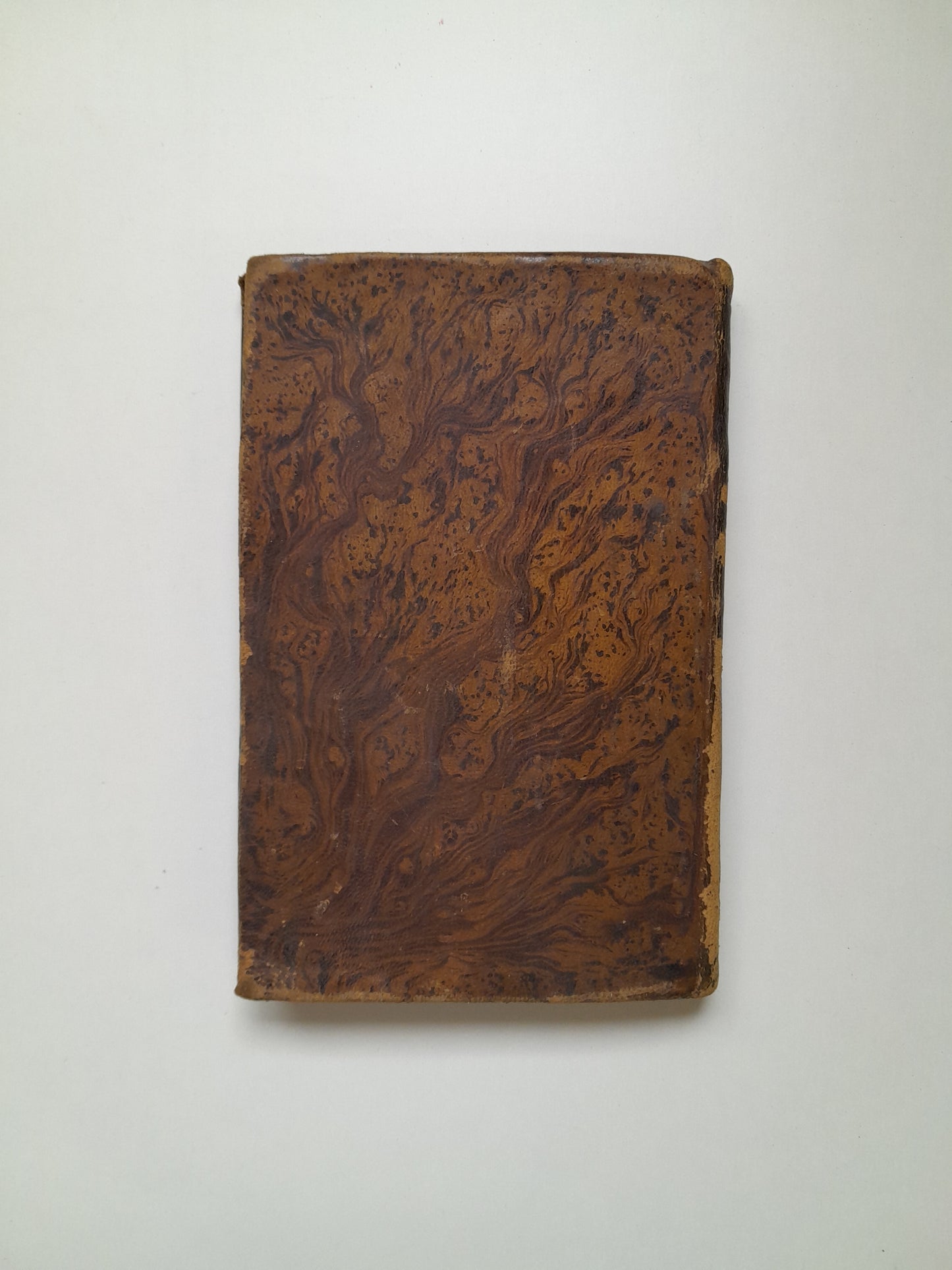 VOCACIÓN DE SAN LUIS DE GONZAGA A LA COMPAÑÍA DE JESÚS (VALENTÍN TORRAS, 1841)