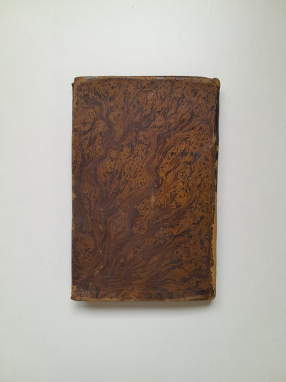 VOCACIÓN DE SAN LUIS DE GONZAGA A LA COMPAÑÍA DE JESÚS (VALENTÍN TORRAS, 1841)