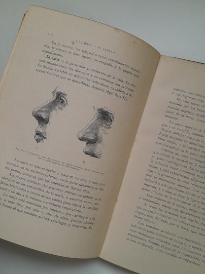 ANATOMÍA ARTÍSTICA - ALFREDO D. FRIPP (GUSTAVO GILI, 1945)